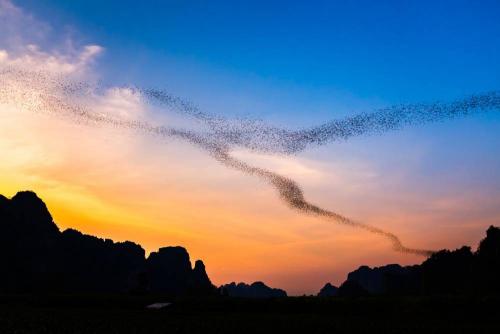 ภูเขาหินปูน อำเภอเนินมะปราง