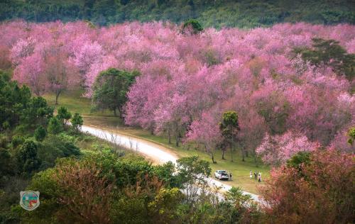 อุทยานแห่งชาติภูหินร่องกล้า ภูลมโล