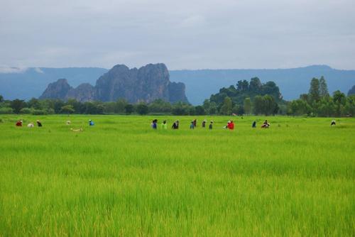 บ้านผารังหมี อำเภอเนินมะปราง
